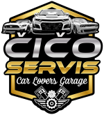 cico-servis1
